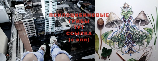 марки lsd Снежногорск