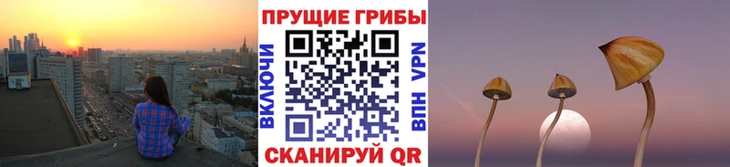 Купить  Семилуки  Галлюциногенные грибы ЛСД 